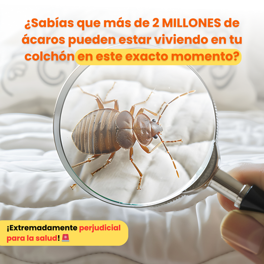 Aspiradora de ácaros y suciedad | Combate las bacterias